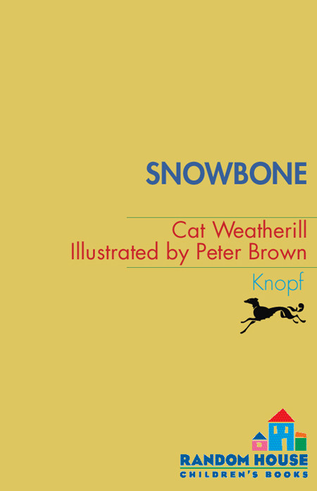 Snowbone Cat Weatherill