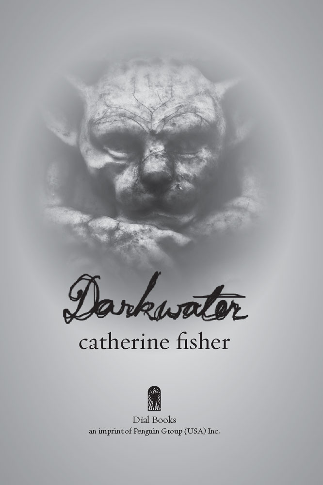Darkwater Catherine Fisher