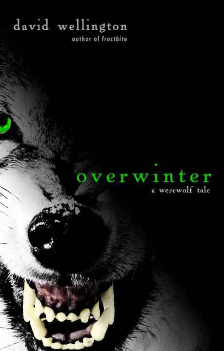 Overwinter David Wellington