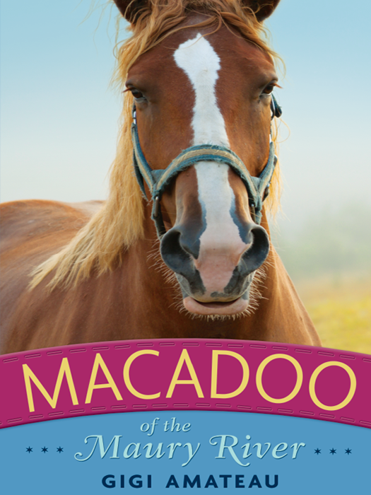 Macadoo Of The Maury River Gigi Amateau