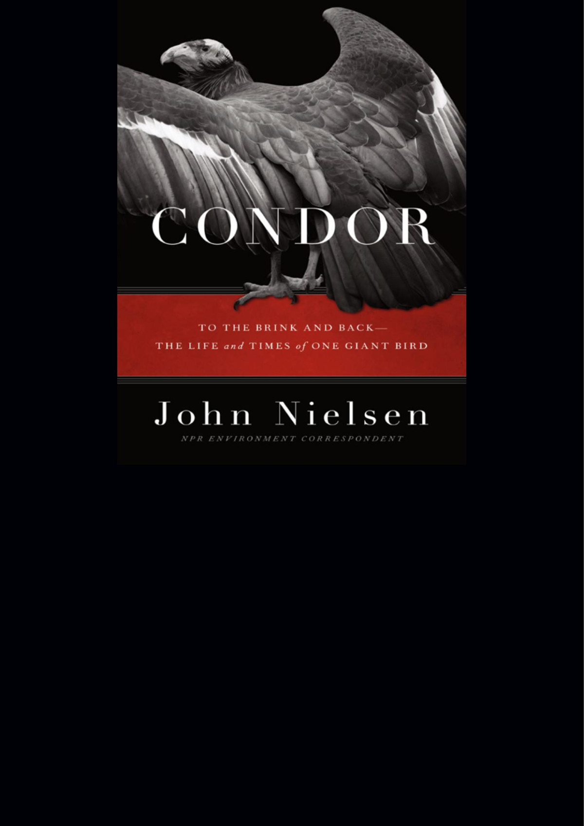 Condor John Nielsen