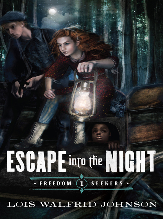 Escape Into The Night Lois Walfrid Johnson