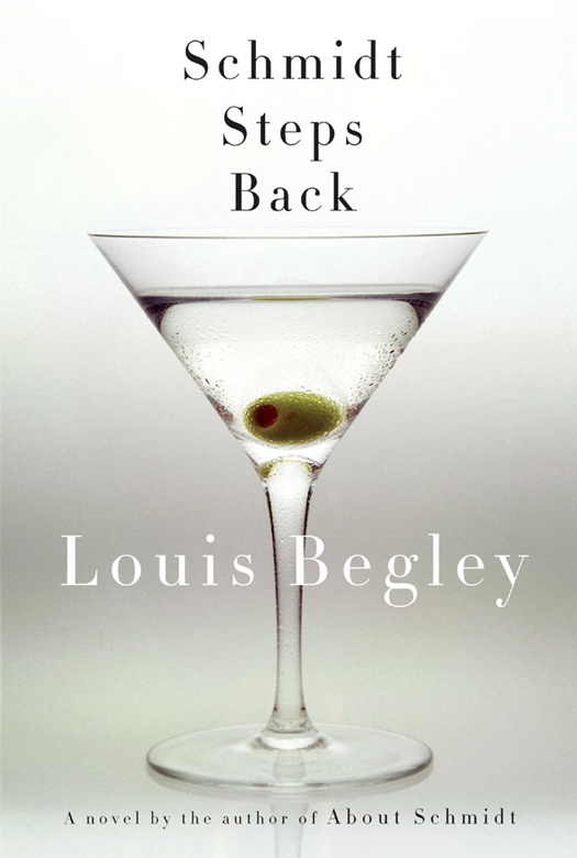 Schmidt Steps Back Louis Begley