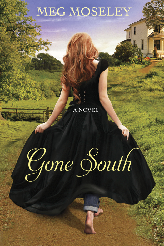 Gone South Meg Moseley