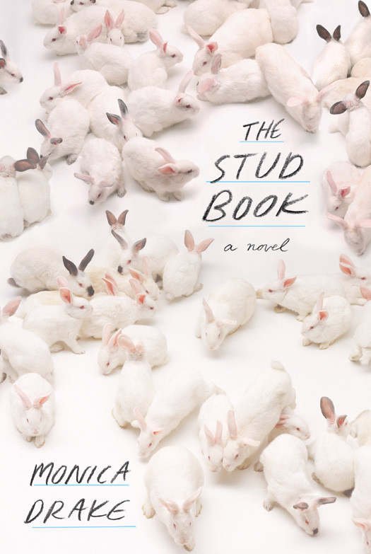 The Stud Book Monica Drake