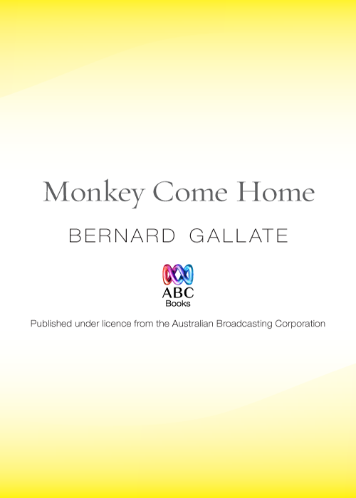 Monkey Come Home Bernard Gallate