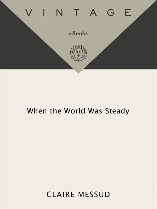 When The World Was Steady Claire Messud
