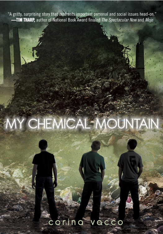 My Chemical Mountain Corina Vacco