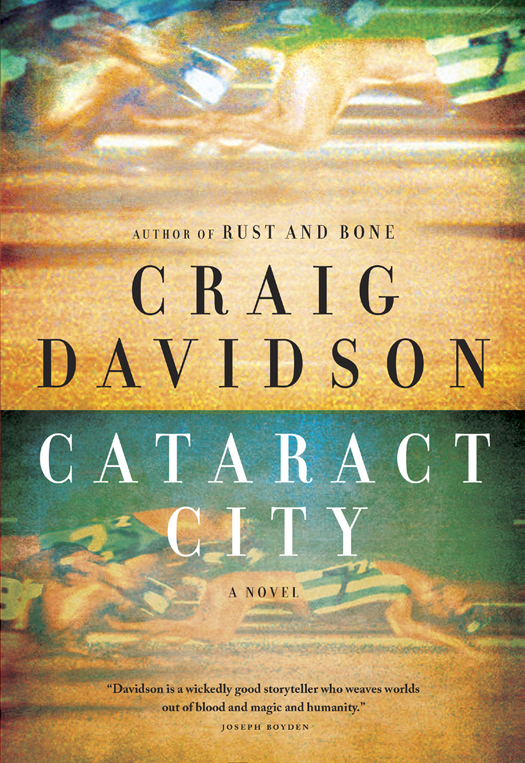 Cataract City Craig Davidson