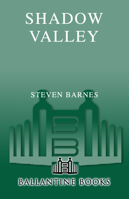 Shadow Valley Steven Barnes