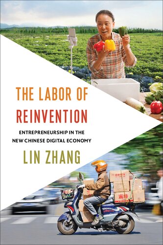 The Labor Of Reinvention Entrepreneurship In The New Chinese Digital Economy Lin Zhang