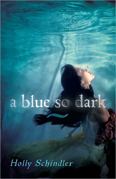A Blue So Dark Holly Schindler