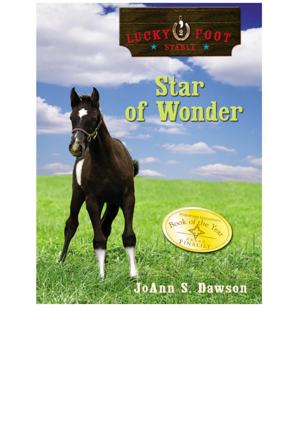 Star Of Wonder Joann S Dawson