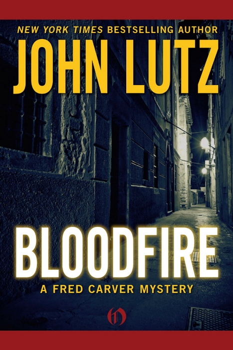 Bloodfire John Lutz