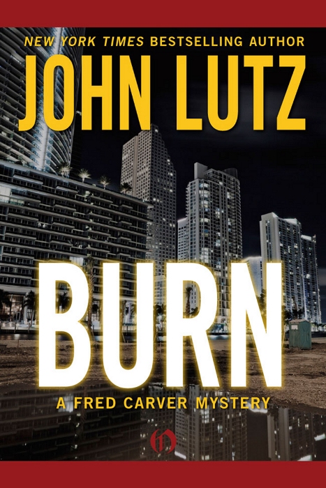 Burn John Lutz