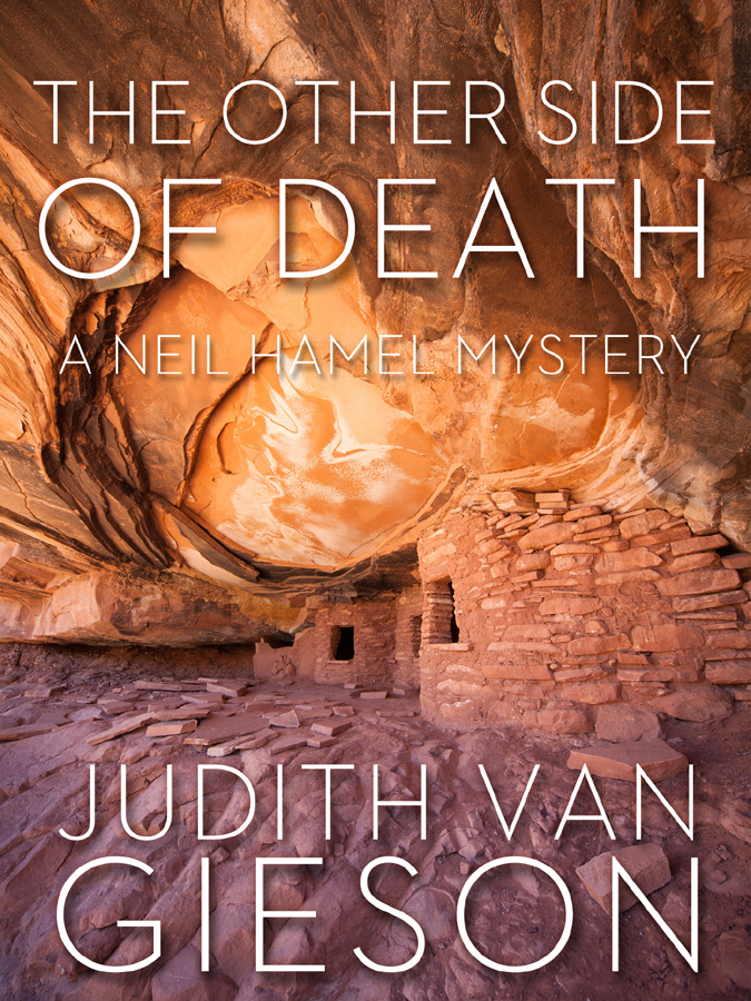The Other Side Of Death Judith Van Gieson