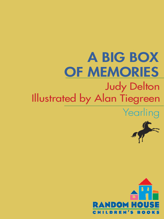 A Big Box Of Memories Judy Delton