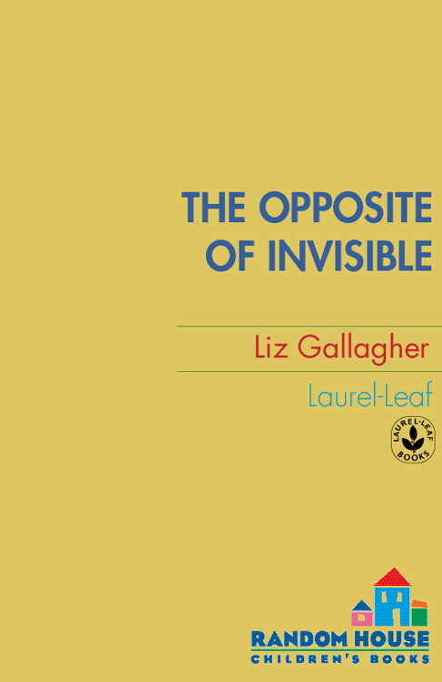 The Opposite Of Invisible Liz Gallagher