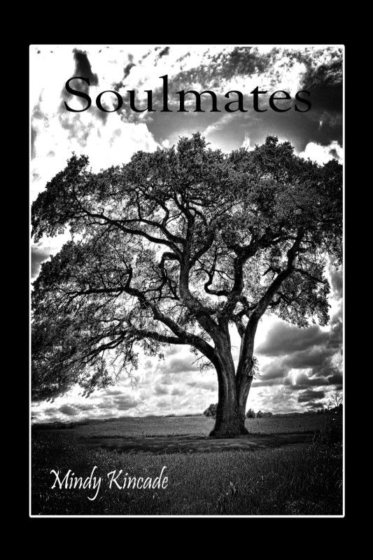 Soulmates Mindy Kincade