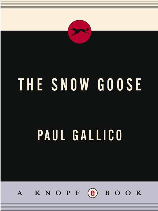 Snow Goose Paul Gallico