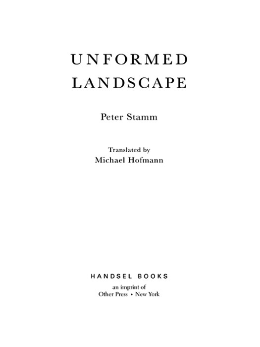 Unformed Landscape A Novel 5th Edition Peter Stamm Michael Hoffman Translation