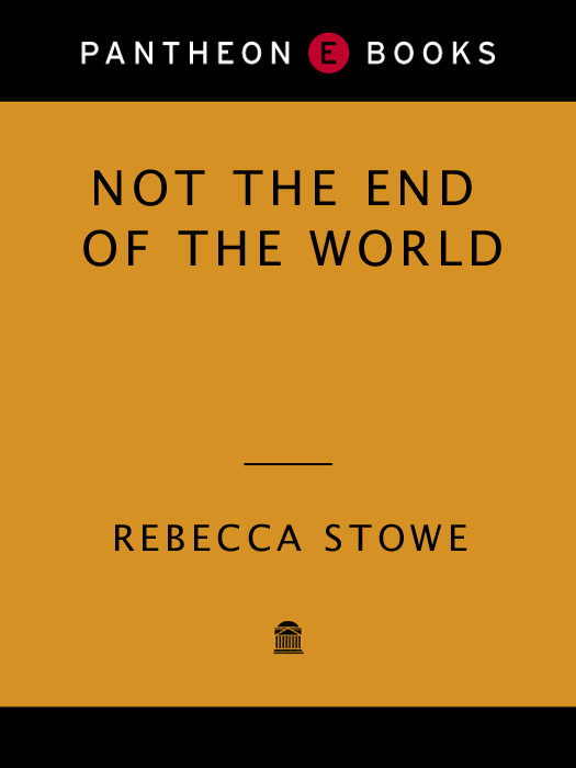 Not The End Of The World Rebecca Stowe