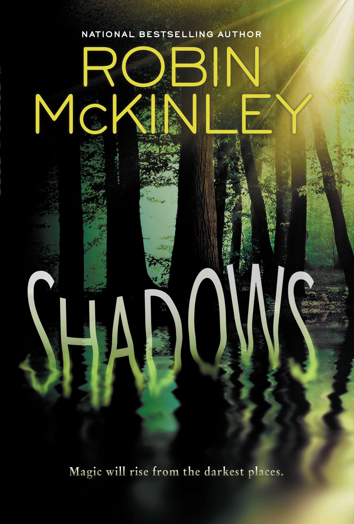 Shadows Robin Mckinley