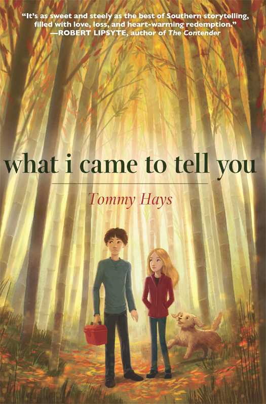 What I Came To Tell You Tommy Hays