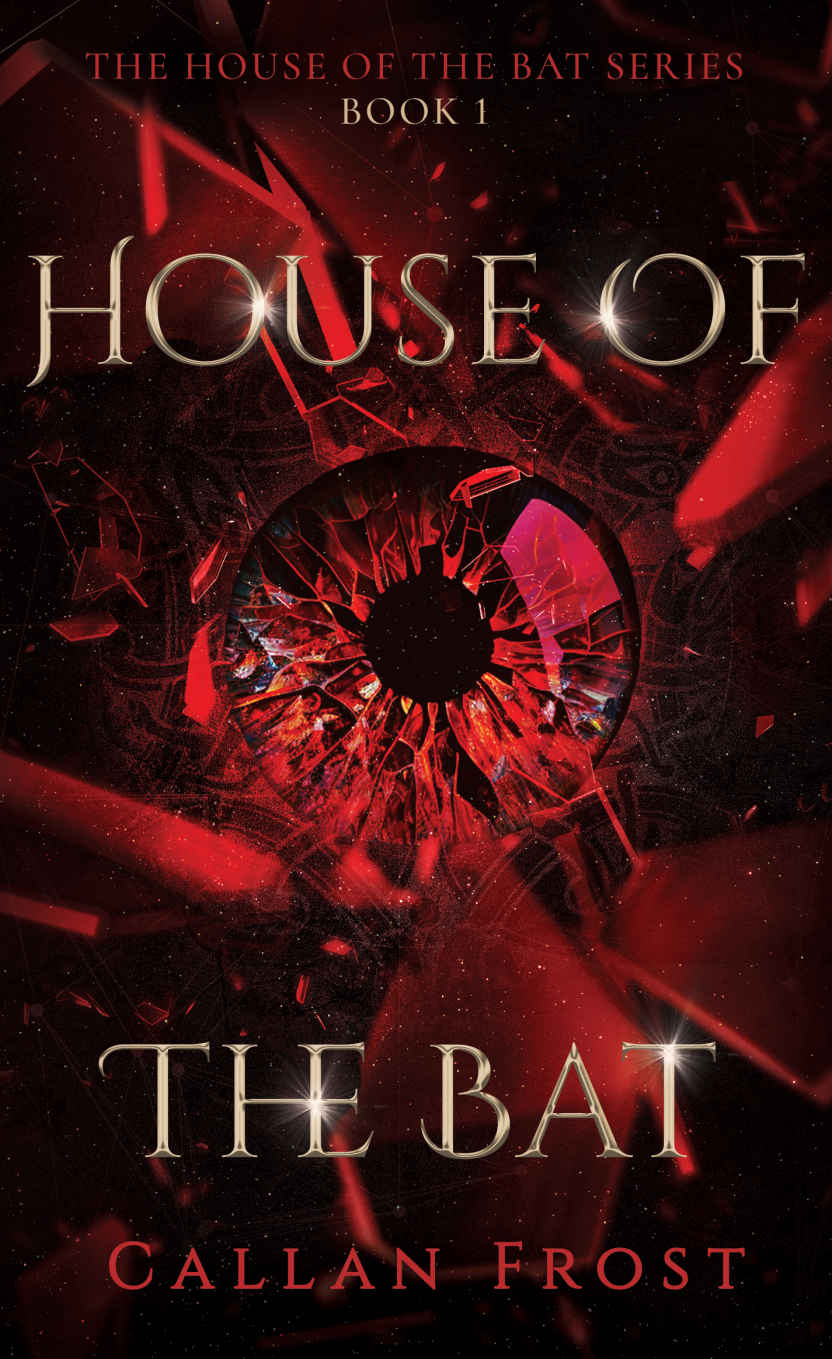 House Of The Bat Book 1 Of The House Of The Bat Series Callan Frost