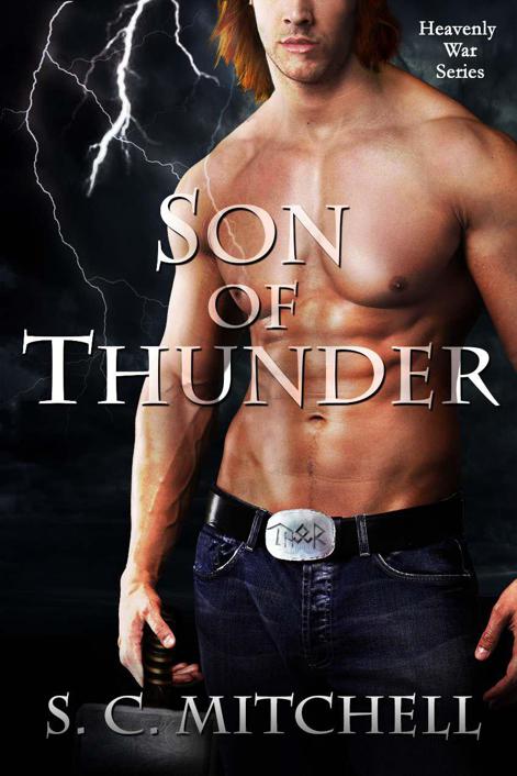 Son Of Thunder Heavenly War Series Sc Mitchell