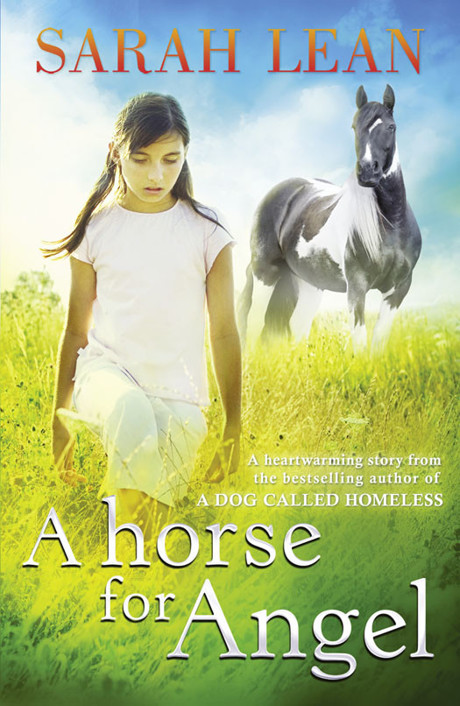 A Horse For Angel Sarah Lean