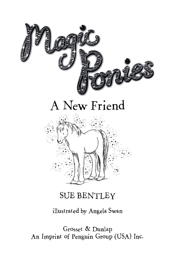 New Friend 9780698143852 Bentley Sue Swan Angela Ilt