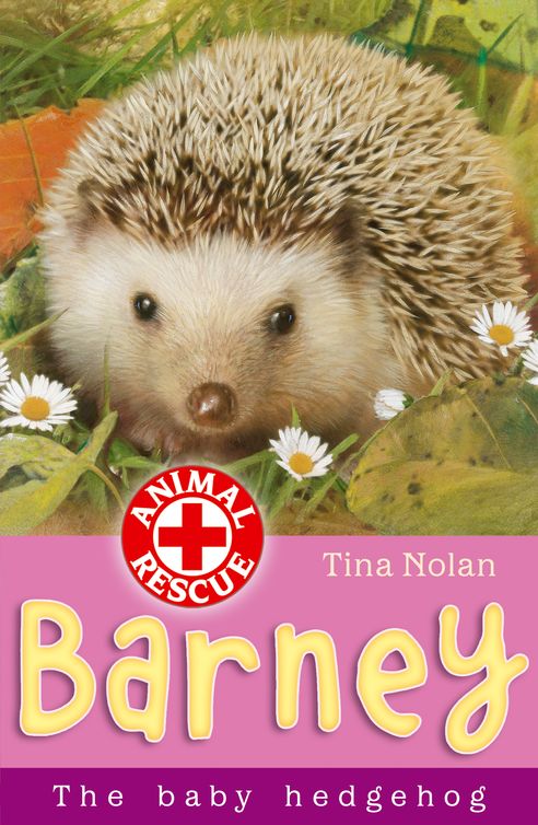 Barney The Baby Hedgehog Tina Nolan