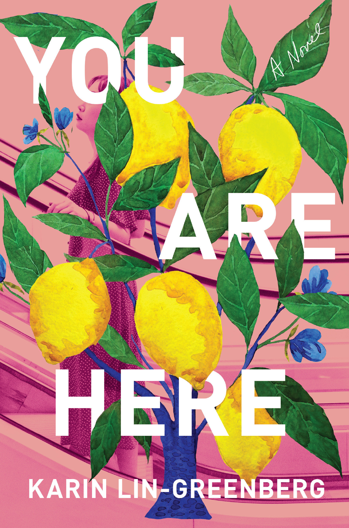 You Are Here Karin Lingreenberg