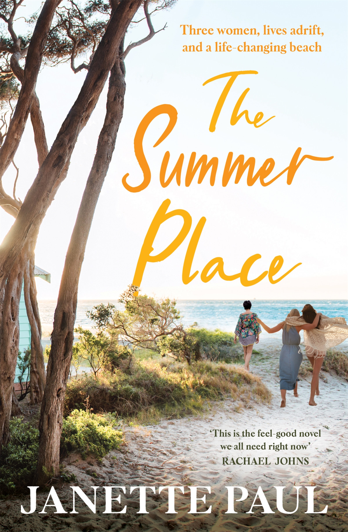 The Summer Place Janette Paul