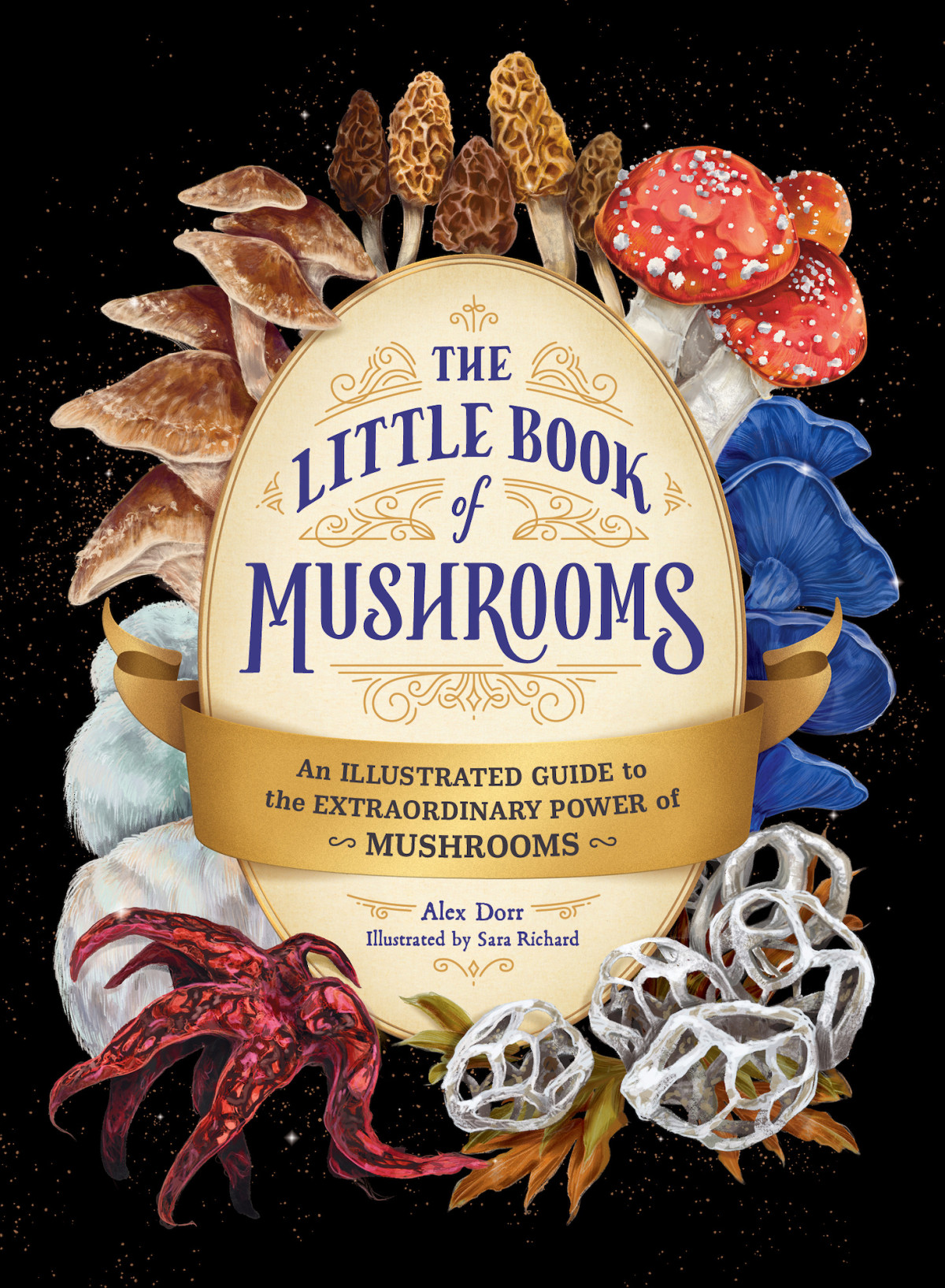 The Little Book Of Mushrooms An Illustrated Guide To The Extraordinary Power Of Mushrooms Alex Dorr