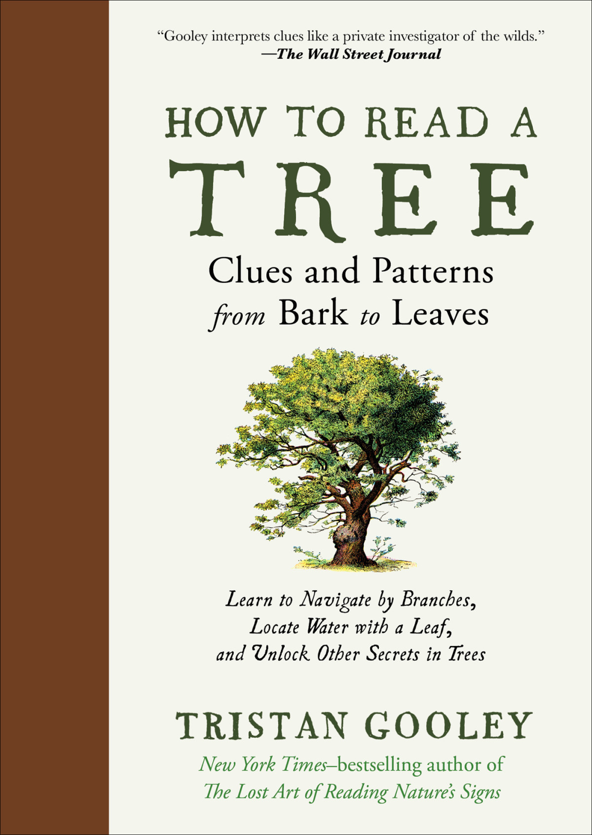 How To Read A Tree Clues And Patterns From Bark To Leaves Tristan Gooley