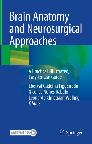 Brain Anatomy And Neurosurgical Approaches A Practical Illustrated Easytouse Guide Eberval Gadelha Figueiredo
