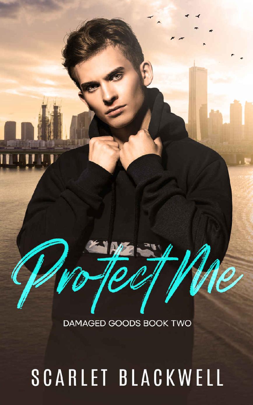 Protect Me An Mm Romance Damaged Goods Book 2 Scarlet Blackwell