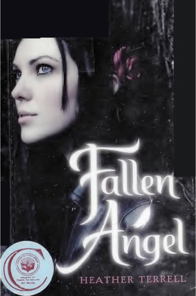 Fallen Angel Heather Terrell