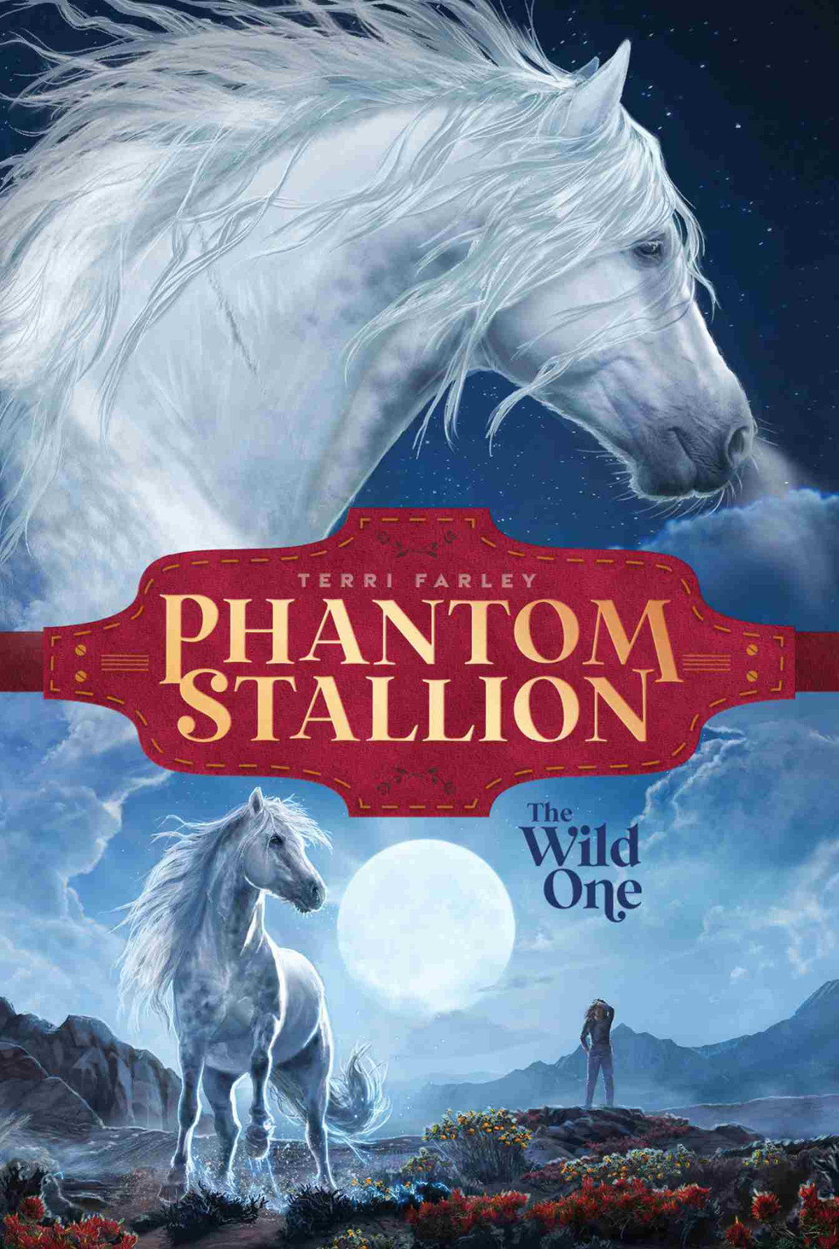 Phantom Stallion 1 The Wild One Terri Farley