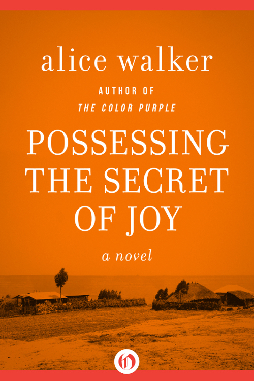 Possessing The Secret Of Joy Alice Walker