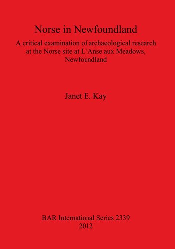 Norse In Newfoundland A Critical Examination Of Archaeological Research At The Norse Site At Lanse Aux Meadows Newfoundland Janet E Kay