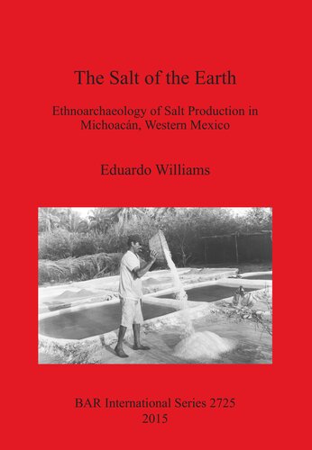 The Salt Of The Earth Ethnoarchaeology Of Salt Production In Michoacn Western Mexico 1st Eduardo Williams