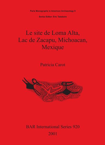 Le Site De Loma Alta Lac De Zacapu Michoacan Mexique Illustrated Patricia Carot