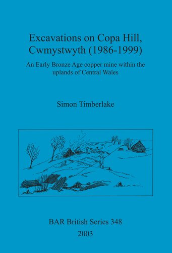 Excavations On Copa Hill Cwmystwyth 19861999 An Early Bronze Age Copper Mine Within The Uplands Of Central Wales Simon Timberlake
