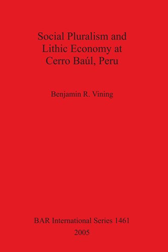 Social Pluralism And Lithic Economy At Cerro Bal Peru Benjamin R Vining