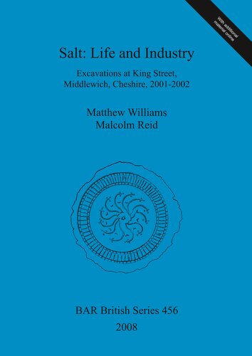 Salt Life And Industry Excavations At King Street Middlewich Cheshire 20012002 Matthew Williams