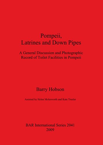 Pompeii Latrines And Down Pipes A General Discussion And Photographic Record Of Toilet Facilities In Pompeii Barry Hobson
