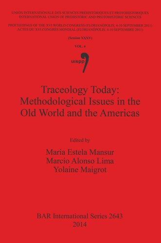 Traceology Today Methodological Issues In The Old World And The Americas Vol 6 Session Xxxv Mara Estela Mansurfranchomme